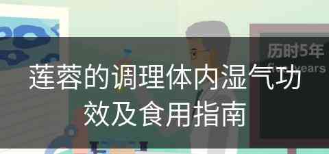 莲蓉的调理体内湿气功效及食用指南